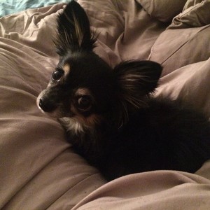 Fundraising Page: Rebekka Erks Byrne